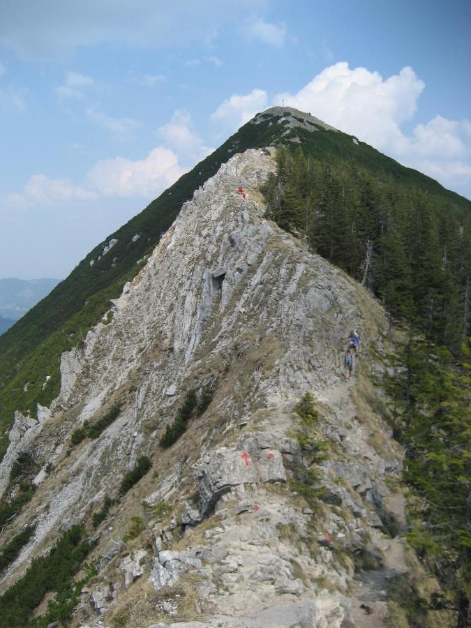 Blsv Sportcamp Direkt Am Kurvenlift Hostel Schliersee Buitenkant foto